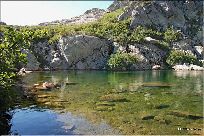 Lac Niellucci en été, 1919 m.d'altitude (3)