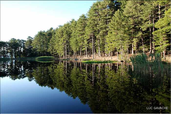 Le lac de Creno est le seul à être entouré de grands arbres, 1310 m.d'altitude (2)