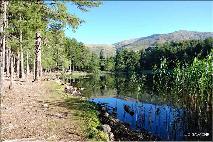 Le lac de Creno est le seul à être entouré de grands arbres, 1310 m.d'altitude (7)