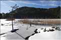 Le lac de Creno en plein hiver (15)