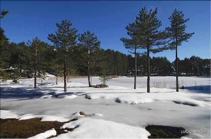 Le lac de Creno en plein hiver (101)
