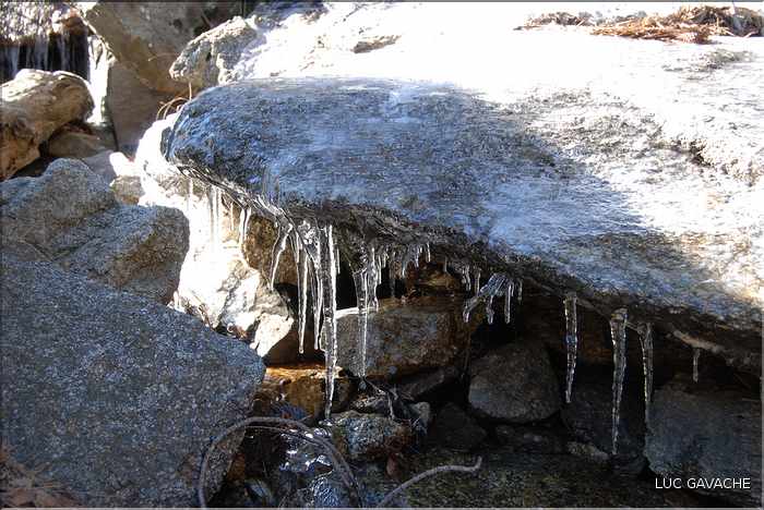 Sur l'itinéraire d'access au lac de Ninu, près des bergeries de Colga, tout est parfois gelé lors des hivers rigoureux (2)