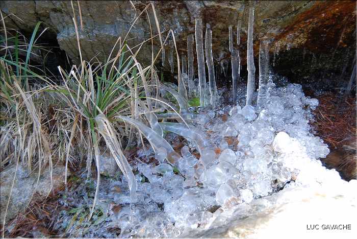 Sur l'itinéraire d'access au lac de Ninu, près des bergeries de Colga, tout est parfois gelé lors des hivers rigoureux (5)