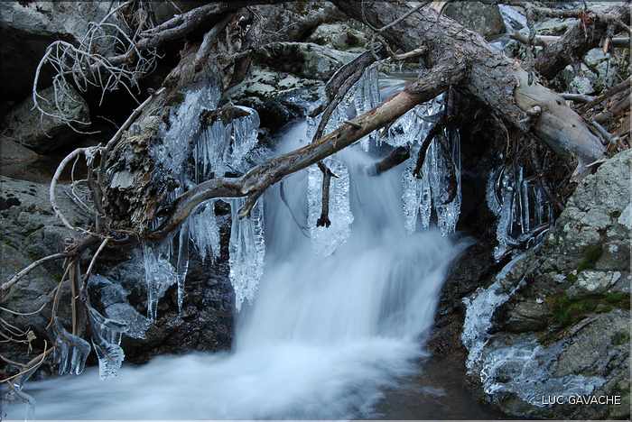 Sur l'itinéraire d'access au lac de Ninu, près des bergeries de Colga, tout est parfois gelé lors des hivers rigoureux (25)