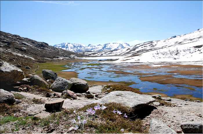 Lac de Ninu à la fin du printemps, 1743 m.d'altitude (5)