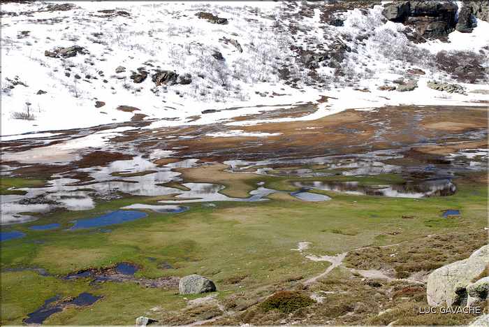 Lac de Ninu à la fin du printemps, 1743 m.d'altitude (10)
