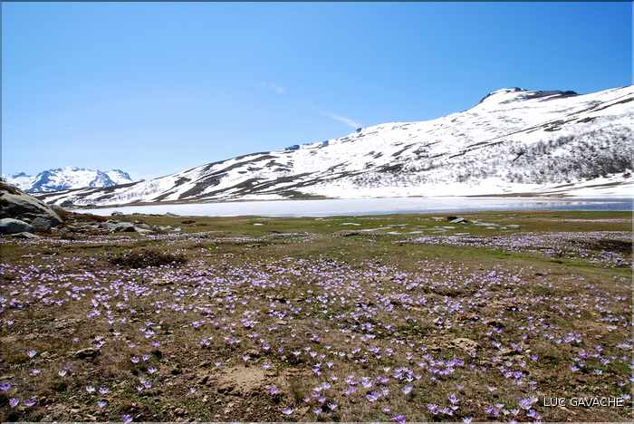 Lac de Ninu à la fin du printemps, 1743 m.d'altitude (13)