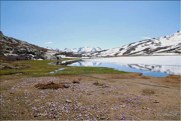 Lac de Ninu à la fin du printemps, 1743 m.d'altitude (27)