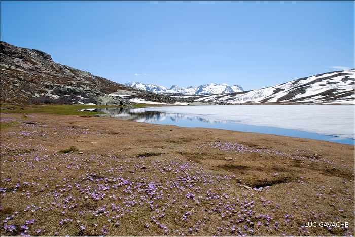Lac de Ninu à la fin du printemps, 1743 m.d'altitude (28)