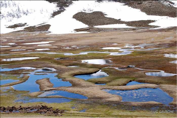 Lac de Ninu à la fin du printemps, 1743 m.d'altitude (49)