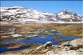 Lac de Ninu à la fin du printemps, 1743 m.d'altitude (50)