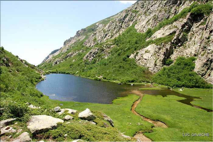 Vitalaca en été