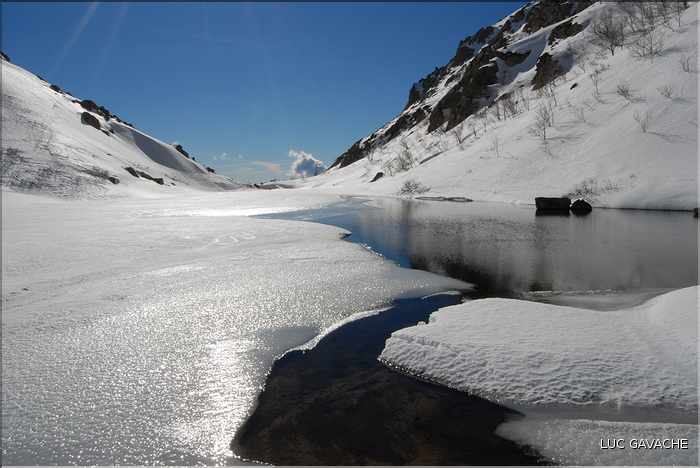 Vitalaca en hiver (54)