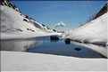 Vitalaca en hiver (61)