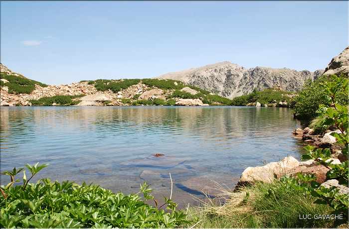 Lac de Bracca en été, 2085 m.d'altitude (4)
