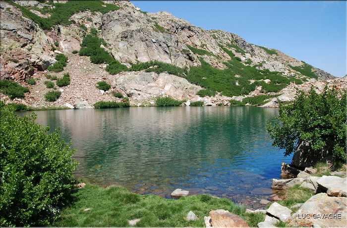 Lac de Bracca en été, 2085 m.d'altitude (6)