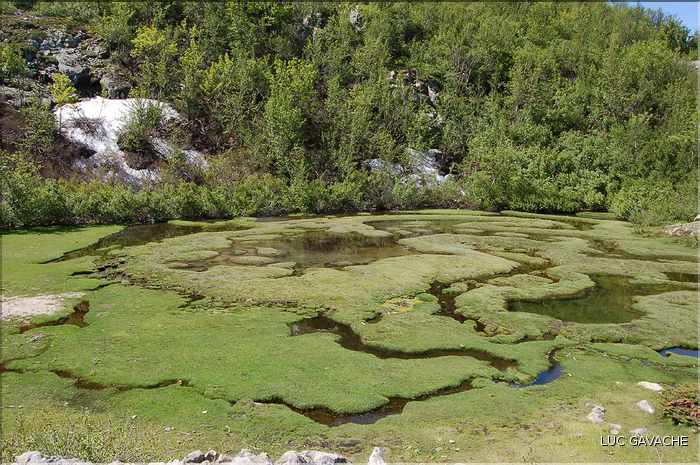 Les Pozzines de Pozzolo sont situés à quelques kilométres à l'Est du col de Scalella (2)