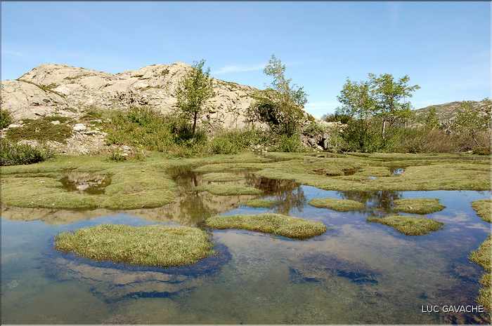 Les Pozzines de Pozzolo sont situés à quelques kilométres à l'Est du col de Scalella (5)