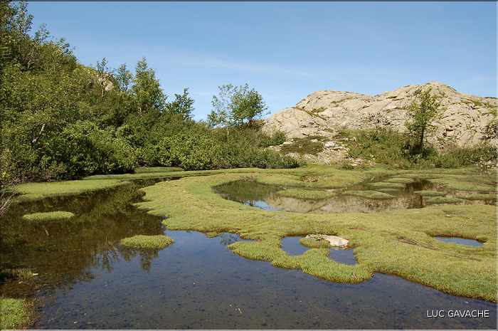 Les Pozzines de Pozzolo sont situés à quelques kilométres à l'Est du col de Scalella (7)
