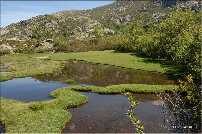 Les Pozzines de Pozzolo sont situés à quelques kilométres à l'Est du col de Scalella (9)