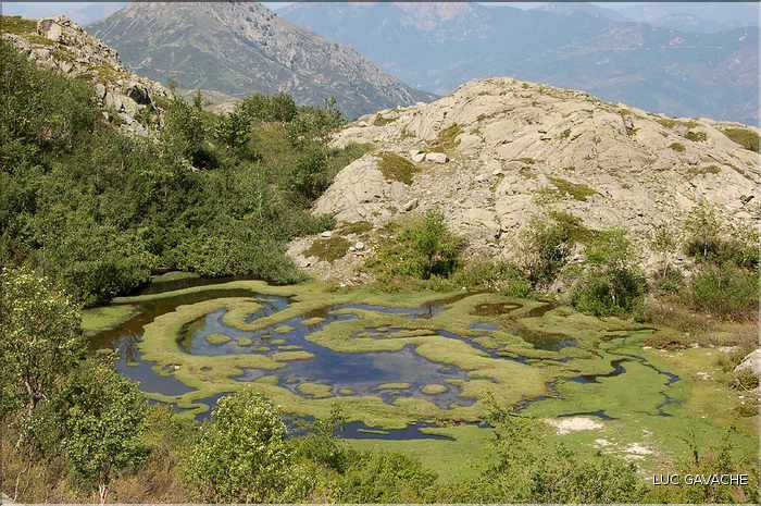 Les Pozzines de Pozzolo sont situés à quelques kilométres à l'Est du col de Scalella (15)