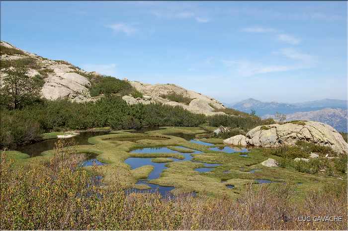 Les Pozzines de Pozzolo sont situés à quelques kilométres à l'Est du col de Scalella (17)