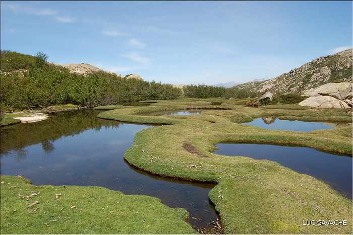 Les Pozzines de Pozzolo sont situés à quelques kilométres à l'Est du col de Scalella (19)