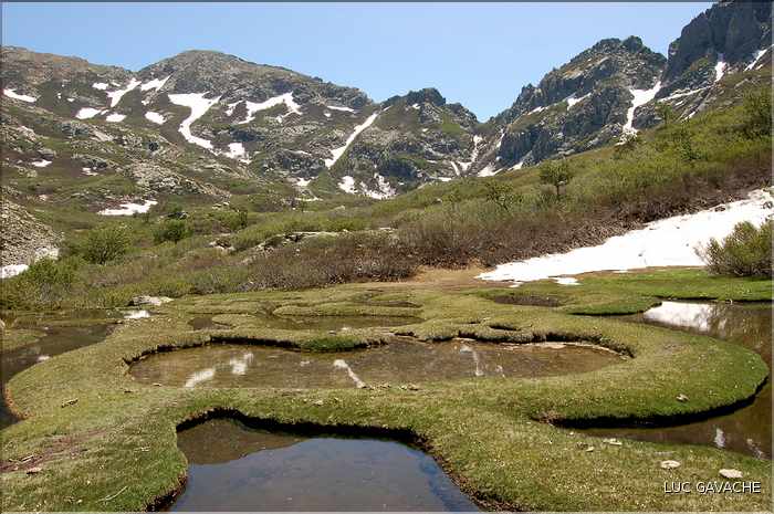 Les Pozzines de Pozzolo sont situés à quelques kilométres à l'Est du col de Scalella (22)