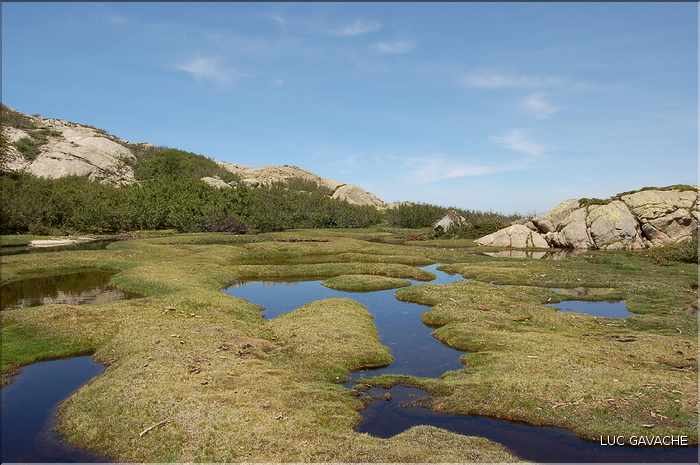 Les Pozzines de Pozzolo sont situés à quelques kilométres à l'Est du col de Scalella (24)
