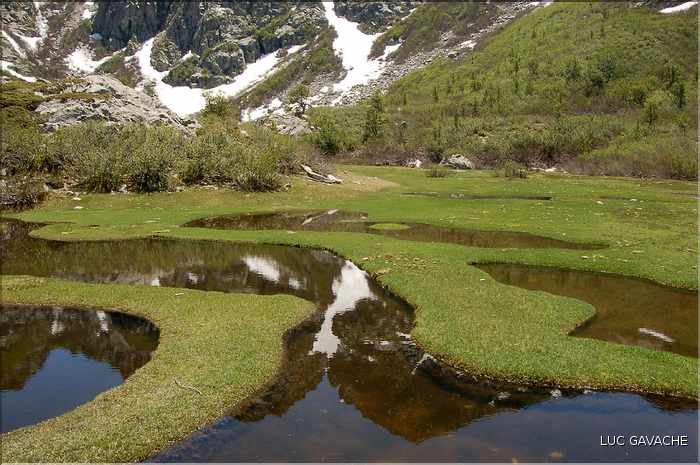 Les Pozzines de Pozzolo sont situés à quelques kilométres à l'Est du col de Scalella (38)