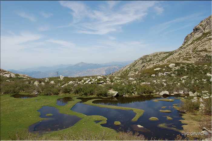 Les Pozzines de Pozzolo sont situés à quelques kilométres à l'Est du col de Scalella (40)