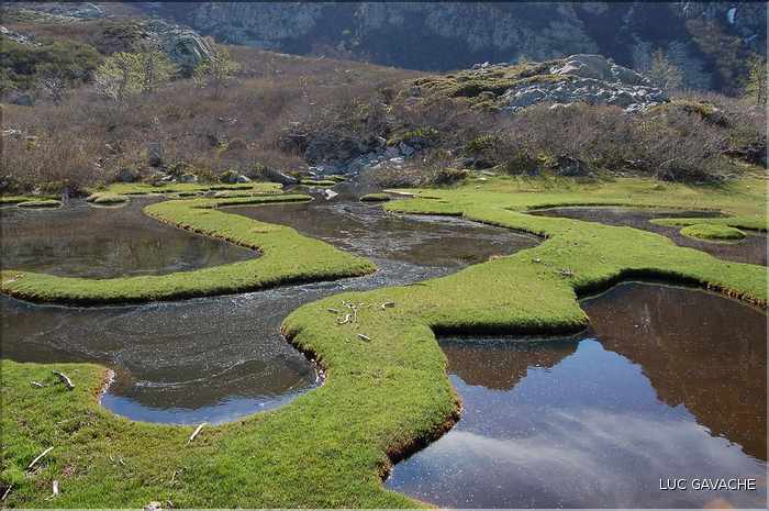Les Pozzines de Pozzolo sont situés à quelques kilométres à l'Est du col de Scalella (43)