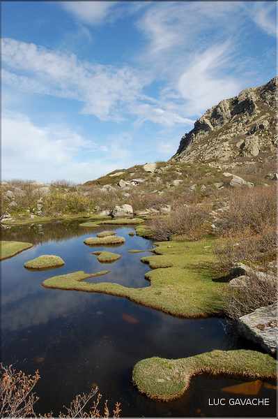 Les Pozzines de Pozzolo sont situés à quelques kilométres à l'Est du col de Scalella (48)