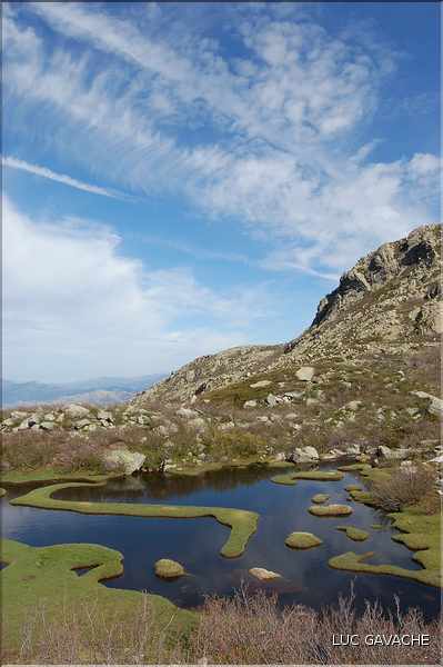Les Pozzines de Pozzolo sont situés à quelques kilométres à l'Est du col de Scalella (51)