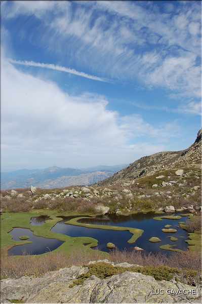 Les Pozzines de Pozzolo sont situés à quelques kilométres à l'Est du col de Scalella (52)