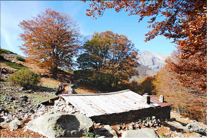 Près de Vizzavona, les bergeries de Lagnati en automne (4)