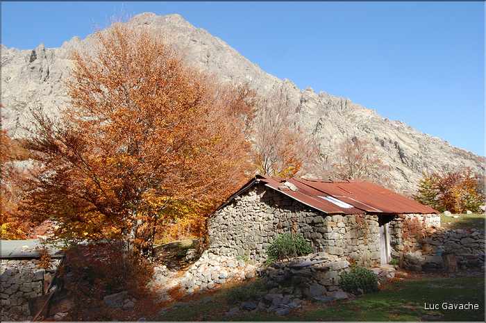 Bergeries de Porteto en automne, sur le GR20 dans les environs de Vizzavona
