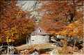 Bergeries de Porteto en automne, sur le GR20 dans les environs de Vizzavona