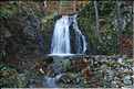 Cascade  dans les environs de Vizzavona (1)