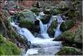 Cascade  dans les environs de Vizzavona (6)