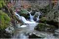 Cascade  dans les environs de Vizzavona (7)
