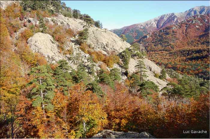 Le col de Vizzavona (2)