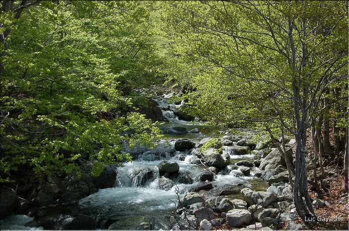 Vizzavona et le GR20 au printemps (2)