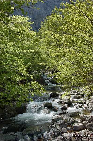 Vizzavona et le GR20 au printemps (4)