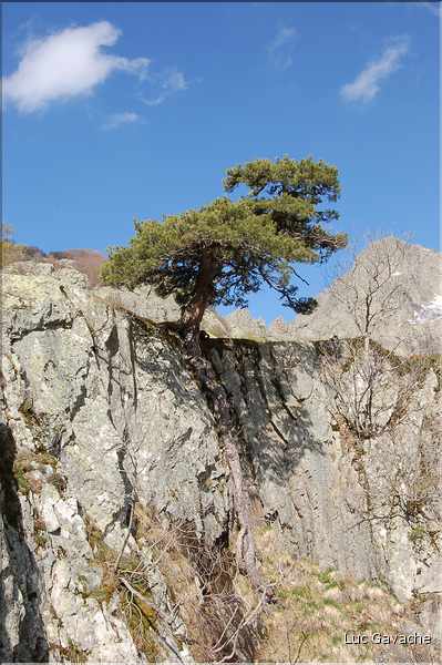Vizzavona et le GR20 au printemps (10)
