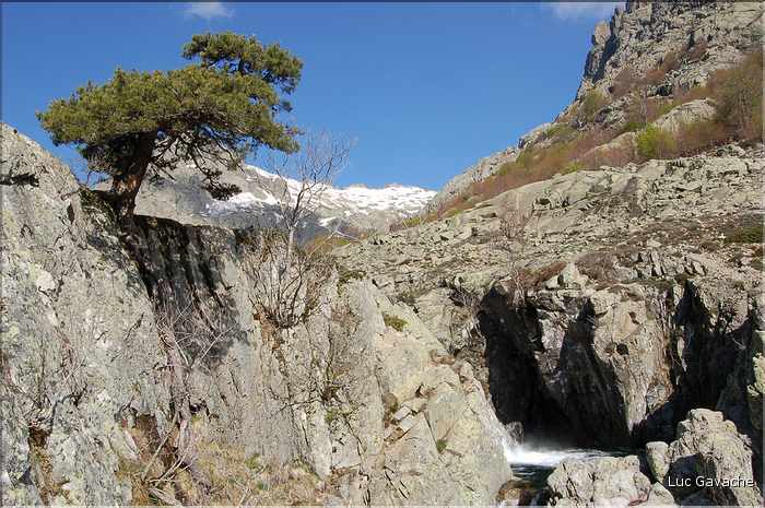 Vizzavona et le GR20 au printemps (11)