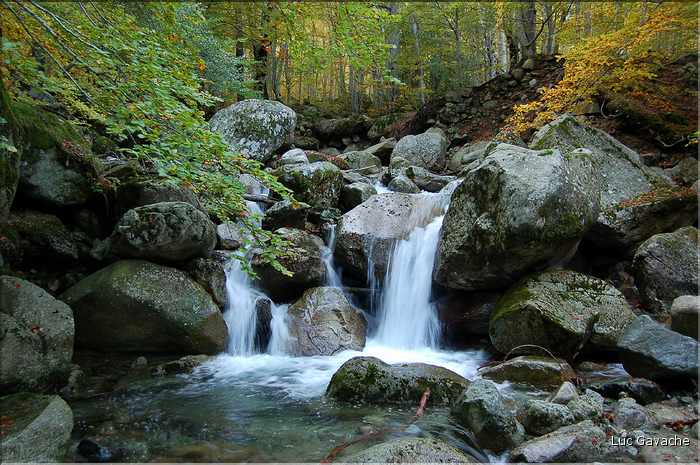 Vizzavona en automne (1)