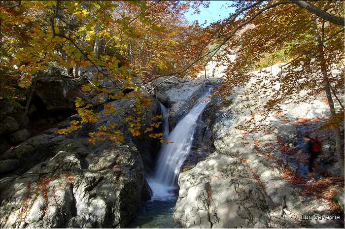 Torent de montagne, l'Agnone offre de tres belles cascades. Région de Vizzavona (2)