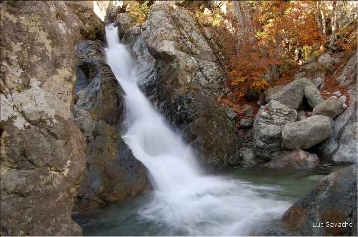 Torent de montagne, l'Agnone offre de tres belles cascades. Région de Vizzavona (7)