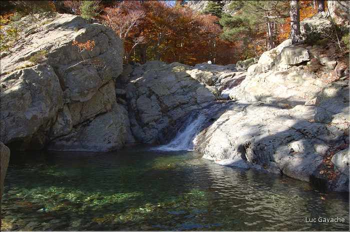 Torent de montagne, l'Agnone offre de tres belles cascades. Région de Vizzavona (12)